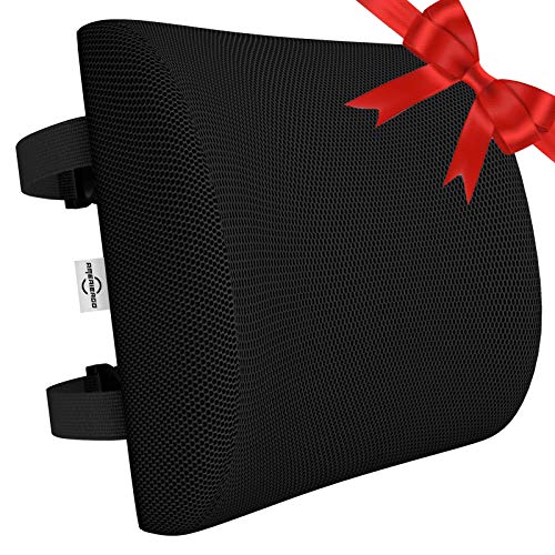 AMERIERGO Lumbar Support Pillow, Memory Foam Back Cushion with Mesh Cover Double Adjustable Straps for Office Chair Car Seat
