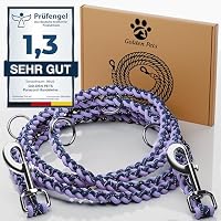 ShawnCo Basecamp Hundeleine Aus Seil – 1,5 M, Gepolsterter Neopren-Griff, Reflektierend, Für Alle Hundegrößen