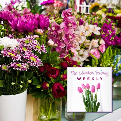 Give Stuff Away Through Creative Donation, plus More Short Topics - The Clutter Fairy Weekly #249 Podcast Por  arte de portada