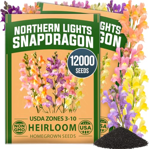 Image of HOME GROWN Northern Lights Snapdragon Seeds for Planting, 12,000 Seeds (6,000 Each, 2 Pack), Antirrhinum majus