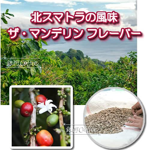 銀河コーヒー マンデリン コーヒー粉 150g