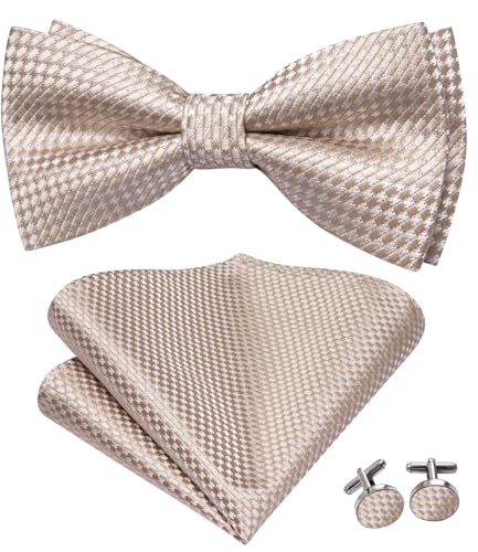Image of Dubulle Mens Paisley Striped Bowtie Set Pre-tied Bowtie for Men and Pocket Square Set Wedding Business