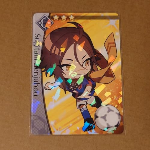 Fate FGO Fes Dream Striker カード 杉谷善住坊 Fate FGO Fes Dream Striker カード 杉谷善住坊