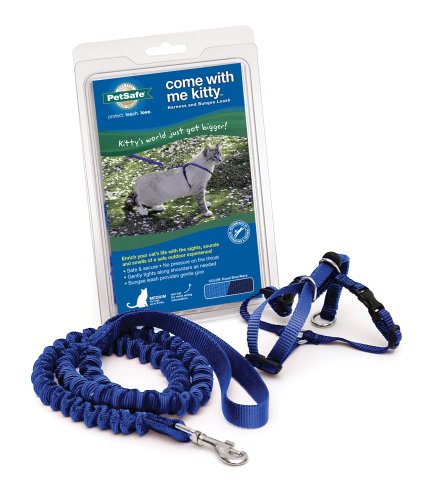 Best Kitty Harness