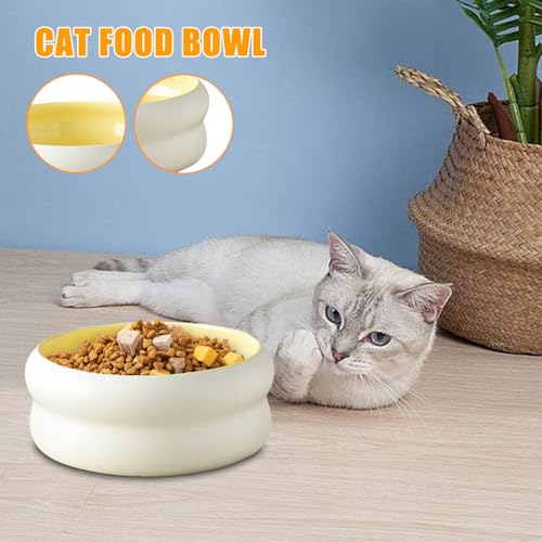 Gamelle chat céramique pour la maison et repas en extérieur
