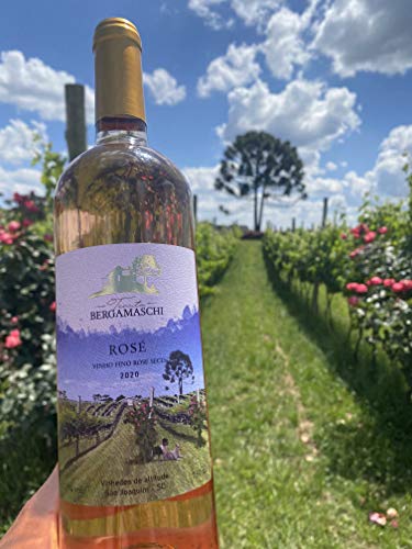 Vinho Rose Tenuta Bergamaschi