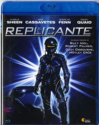 The disk DOES NOT have Italian audio and subtitles.