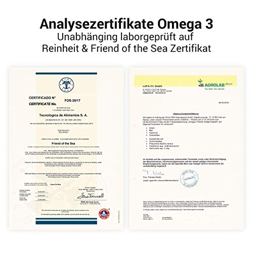 Wehle Sports Omega 3 Fischöl Kapseln mit DHA 250mg, EPA 500mg Test