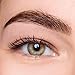 wet n wild Ultimate Eyebrow Universal Stencil Kit, 5 Brow Color Makeup Set, Spoolie For Brushing and Blending, Hair Removal Tweezers, Sponge Brush Applicator, 3 Stencils, Universal Appeal