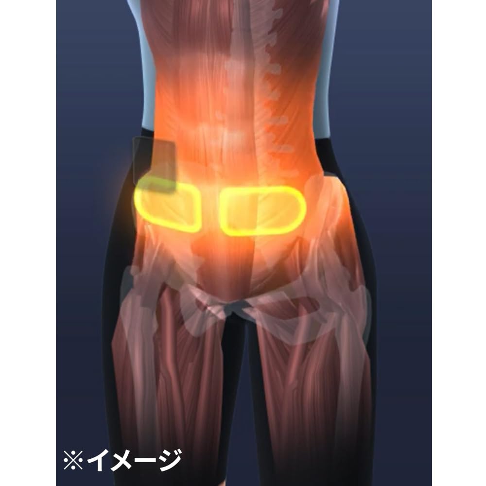 イーサンテ EMSトレーニングボトムス イーサンテ EMSトレーニングボトムス 通販 - ディノス