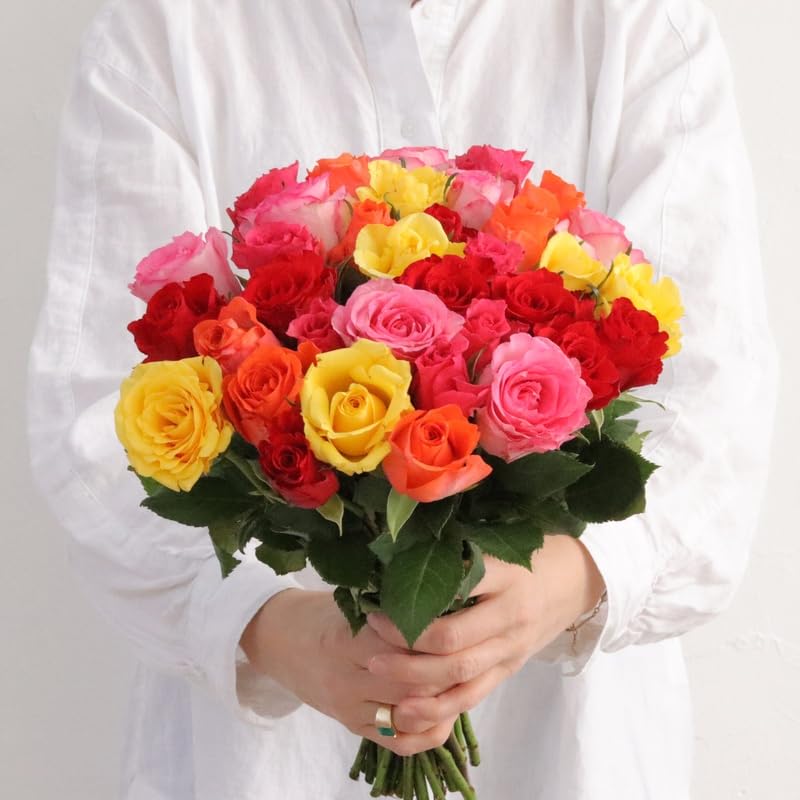 Fleurs et Délices - Brassée de Roses Multicolores - Fleurs Fraîches - Bouquet de Roses Multicolores, Issues du Commerce Équitable, Idée Cadeau, 35 Tiges