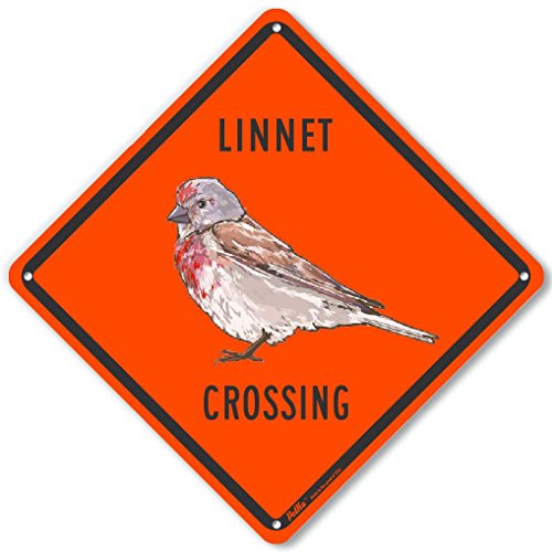 Panneau en aluminium Linnet Crossing orange de 25,4 x 25,4 cm pour signalisation extérieure