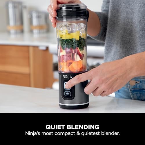 Travel Blender For Smoothies