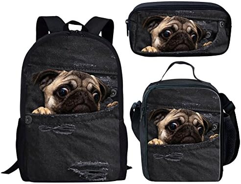 pug in backpack