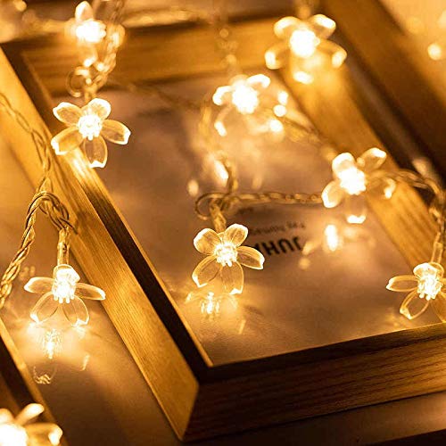 AtneP Blossom String Lights Home Decoration-Warm White (40 LED)(Silicon)