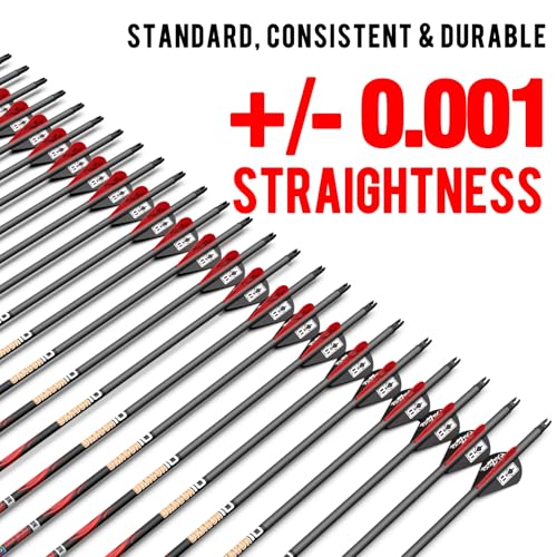Image of sanlida 100% Pure Carbon Hunting Arrows, Olympic-Grade 10 Spines Deflection (Unique), 0.001 inch /0.003 inch /0.006 inch Straightness, Buy 12 Get 12 Free /Buy 6 Get 6 Free, for Compound & Recurve Bows (12 /24PCS)