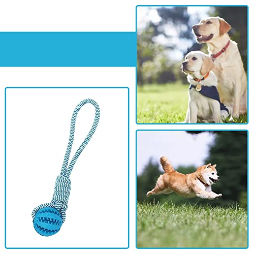 Dog Rope Ball Bite Resistance Training Ball Dog Toy with Rope Interesting Dog Puzzle Teething Toy for Molar Teeth Cleaning Boredom Relieving(Blue) Dog Rope Ball Bite Resistance Training Ball Dog Toy with Rope Interesting Dog Puzzle Teething Toy for Molar Teeth Cleaning Boredom Relieving(Blue)