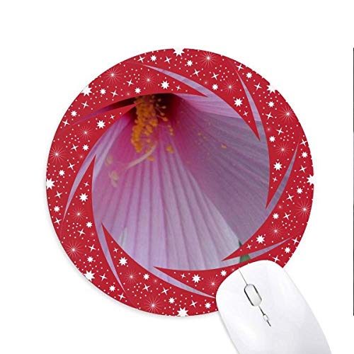 sN̉Ԃ̕iʐ^ ~`S̐Ԃ̃zC[pbh