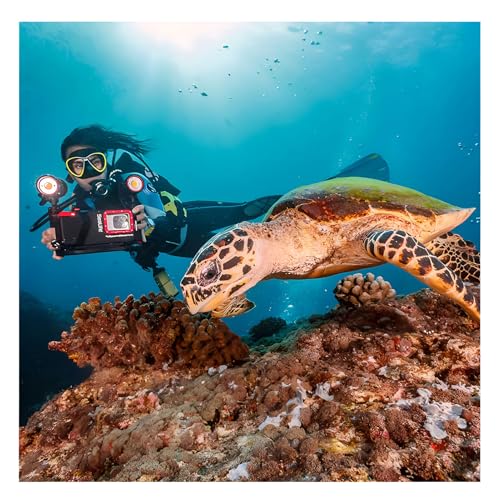 Image of SEALIFE Sea Dragon Duo 10K+ Color Boost Underwater Photo /Video Light Set