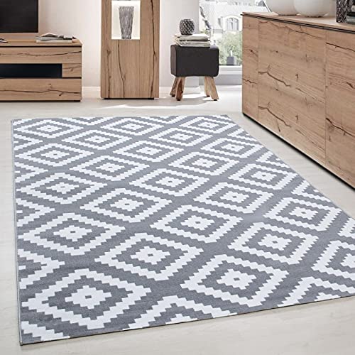Tapis de salon moderne pour votre séjour chic gris blanc 160x230