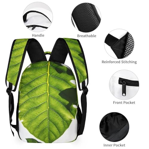 Green Leaves Pattern Backpack Set 3 Piece, Durable Backpack Insulated Lunch Bag Portable Pencil Case for Men Women3