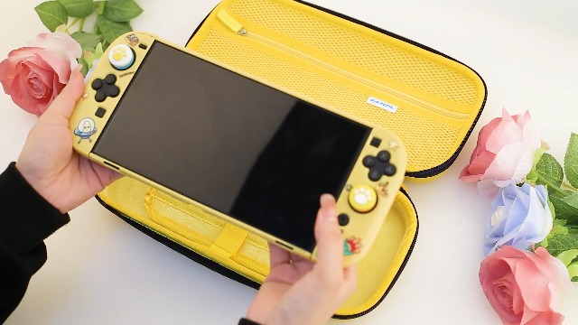 Amazon.com: GLDRAM Carrying Case for Nintendo Switch 2 (2025