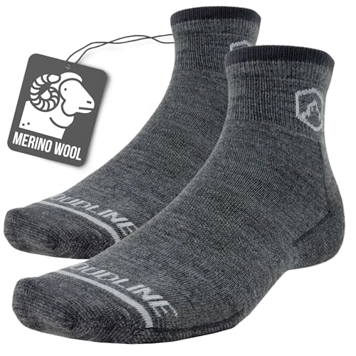CloudLine Merino Wool Running Socks for Men and Women - Full Cushion, Anti-Blister, Moisture Wicking, Made in USA - Granite, Size Large, 1 Pair