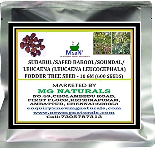 SUBABUL/SAFED BABOOL/SOUNDAL/LEUCAENA (LEUCAENA LEUCOCEPHALA) FODDER TREE SEED - 10 GM (600 SEEDS) (WITH FREE PLANT SEEDS) (B08518QLT3) Amazon Price History, Amazon Price Tracker