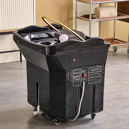 Equipo de spa japonés Head con temperatura constante y tanque de agua de 60 L, lavabo termostático con circulación de agua para una máxima relajación