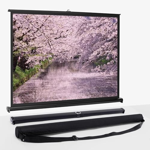 Pantalla portátil para proyector 36in 16:9 con soporte
