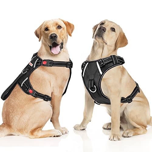 image for BABYLTRL No Pull Dog Harness with Leash & Collar, Adjustable Dog Vest 