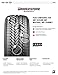 Bridgestone WEATHERPEAK 245/50R20 102V