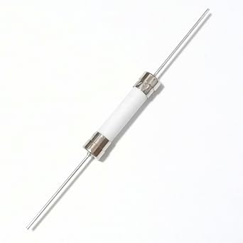 10 PCS Ceramic Axial Lead Fuse 20A250V 6.35x32mm/0.25"x1.26" Time-Lag Slow-Blow 20AMP 250V Time Delay Ceramic Fuses