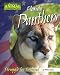 Florida Panthers: Struggle for Survival (America's Animal Comebacks)