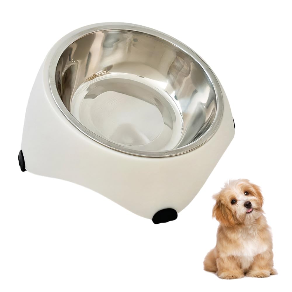 15° Tilted Elevated Cat Bowl, 300ML Stainless Steel Pet Elevated Neck Bowl with Stable Base, Ergonomic Raised Feeder for Kitten, Puppies