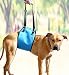 AMZpets X-Large Dog Lifting Harness. Helps Dogs with Weak Front or Back Legs. Lifting Support Sling is Recommended by Veterinarians for Pain Relief, Rehabilitation, Surgeries and Handicapped Canines