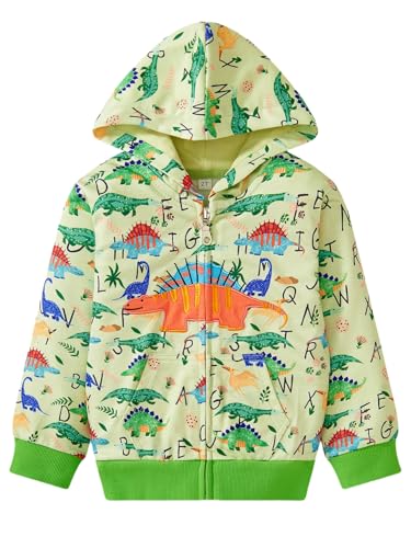 Toddler Kids Zip Up Hoodie Sweatshirt Fall Clothes Boys Hooded Jacket 2-7 Years