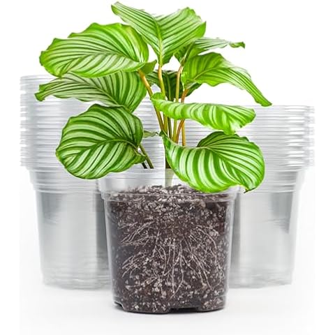 MIXC 5" Clear Nursery Pots Cover