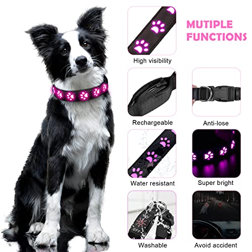 AUAUY Light Up Dog Collar, LED Dog Collar Light USB Rechargeable - Image 3