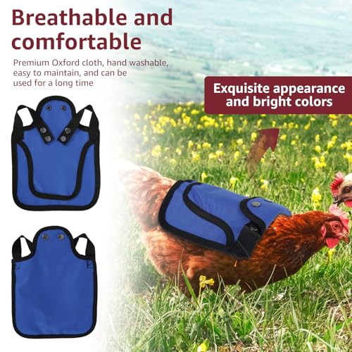 TNTGMG Hühner Sattel,3 Stück Premium Hühner Sättel mit Verstellbarem Gurt, 25×19 cm, Oxford-Stoff Outdoor Henne Sattel Pullover Kleidung, Vögel Federschutz Ausrüstung für Rücken und Seiten
