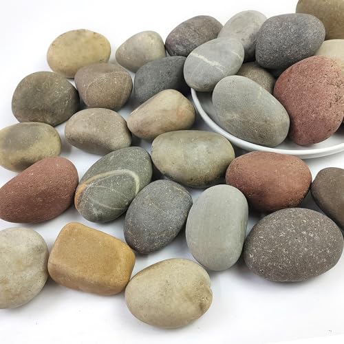 Natural River Rocks 2-3 Inch