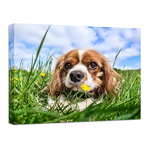 Anjiefo Custom Canvas Prints with Your Photo, Personalized Canvas Wall Art, Print Your Pictures Photos on Canvas, Gifts for Family, Wedding, Friends,Home Decoration (10' W x 8W)