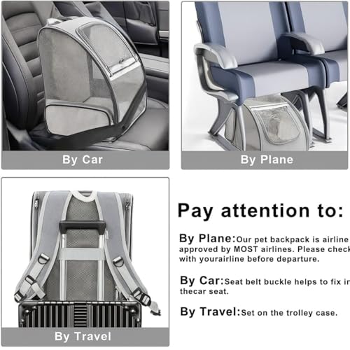 Image of Cat Backpack Carrier, Breathable Cat Carrier Pet Backpack for Kitty Small Dog Up to 15Lbs, Transparent & Foldable Pet Carrier for Travel Hiking (Expendable Grey)