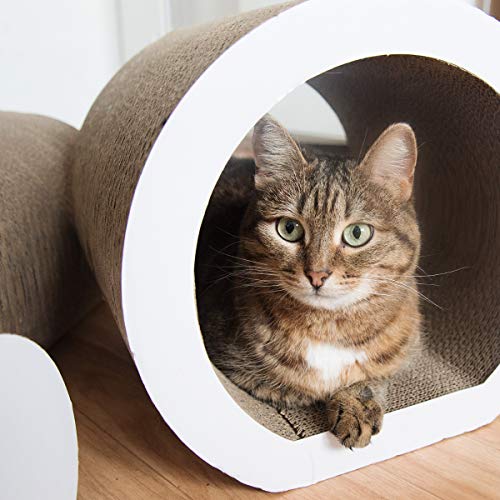 cat scratching tunnel