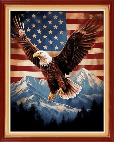 Image of Magxvouy Cross Stitch Kits Stamped Full Range of Embroidery Kits,Cross Stitch Patterns Needlework Kits for Beginners 11CT Printed Kits&Eagle Flag 16x20 inch