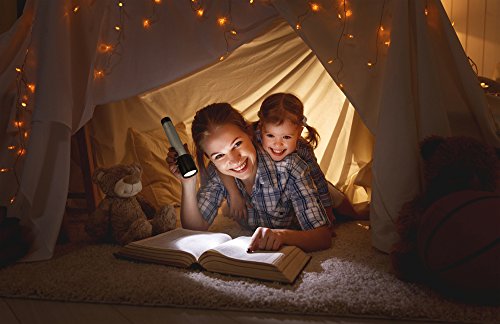 Ansmann Taschenlampe 1600-0155 X30 – Handliche LED-Leuchte aus Aluminium