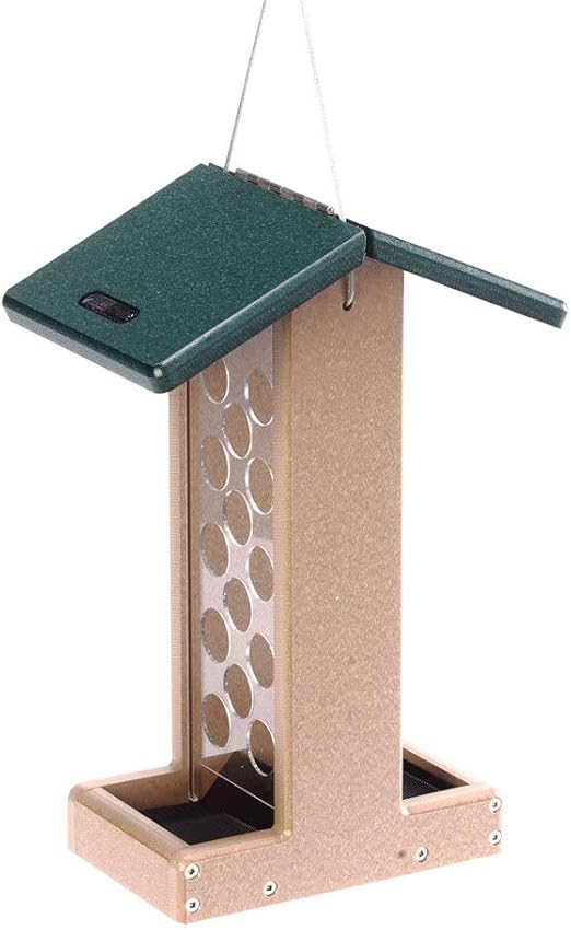 Amazon Com Birds Choice Whole Peanut Blue Jay Feeder With Green Roof Bird Houses Patio Lawn Garden
