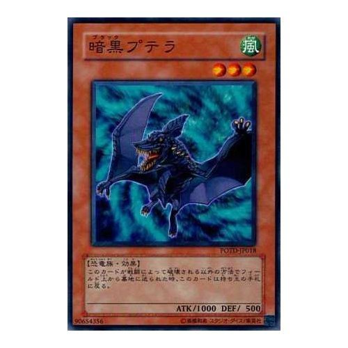 シングルカード biacker lotus SAINT LAURENT/サンローラン_women通販 | モノグラム