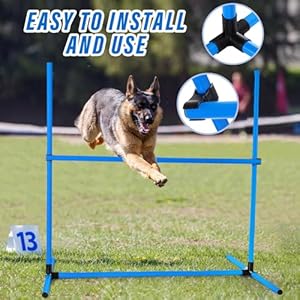 Shappy 4 Pieces Dog Agility Equipment with Adjustable Height Jump Bars Adjustable Dog Agility Jumps with Carry Bag Exercise Dog Jumping Hurdles for Indoor Outdoor Dog Agility Course Game (Blue)