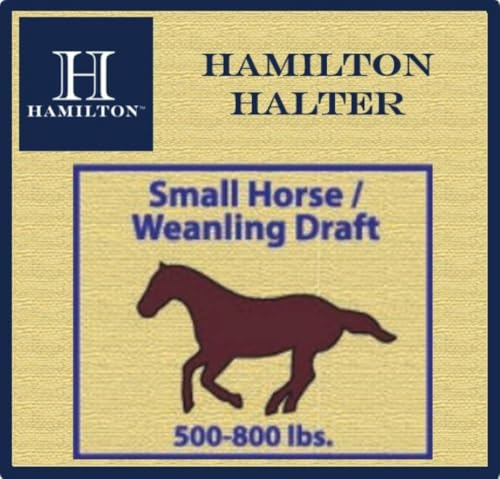 Hamilton 2,5 cm Nylonhalfter mit verstellbarem Kinn, Dunkelgrün, Größe S 500 bis 362,9 kg